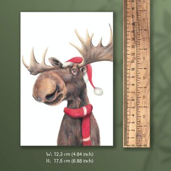 Carte de Noël Orignal, Cartes d'animaux, Carte de vœux amusante, Carte vierge, Carte de vacances, Cartes de Noël mignonnes, 12,3 x 17,5 cm 2