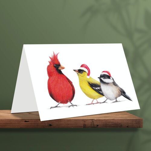 Christmas Card Birds, Animal Cards, Funny Greeting Card, Blank Card, Holiday Card, Cute Christmas Cards, 12.3 x 17.5 cm, I Love Your Hat