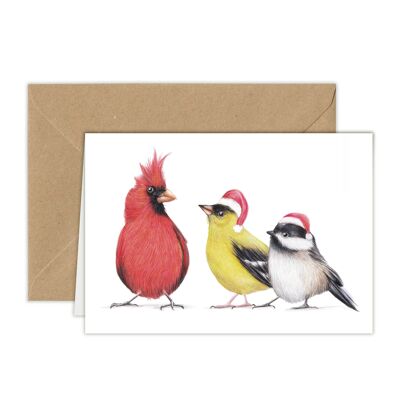 Tarjeta de Navidad Pájaros, Tarjetas de animales, Tarjeta de felicitación divertida, Tarjeta en blanco, Tarjeta navideña, Tarjetas de Navidad lindas, 12.3x17.5 cm, me encanta tu sombrero