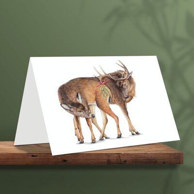 Christmas Card Deer With Mistletoe, Animal Cards, Funny Greeting Card, Blank Card, Holiday Card, Romantic Christmas Card, 12.3 x 17.5 cm, Meet Me Under The Mistletoe