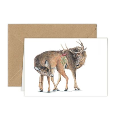 Christmas Card Deer With Mistletoe, Animal Cards, Funny Greeting Card, Blank Card, Holiday Card, Romantic Christmas Card, 12.3x17.5cm, Meet Me Under The Mistletoe
