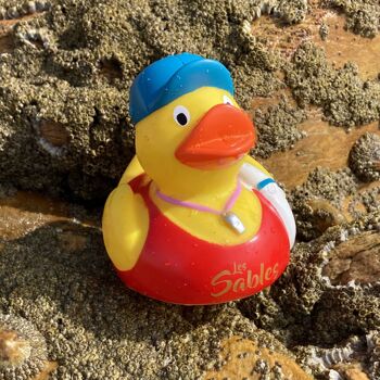 Canard de Bain 3