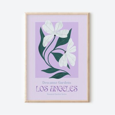 Los Angeles Botanical Garden, Art Print