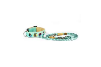 COLLIER POUR CHIEN BEACHBOY 3.0 2