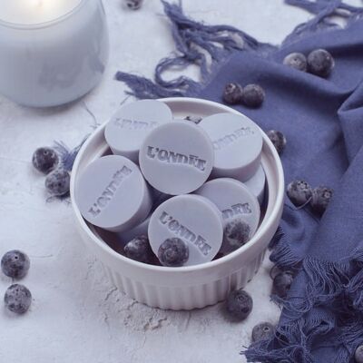 Blackberry and Blueberry - Scented wax pebble fruity candle natural wax
