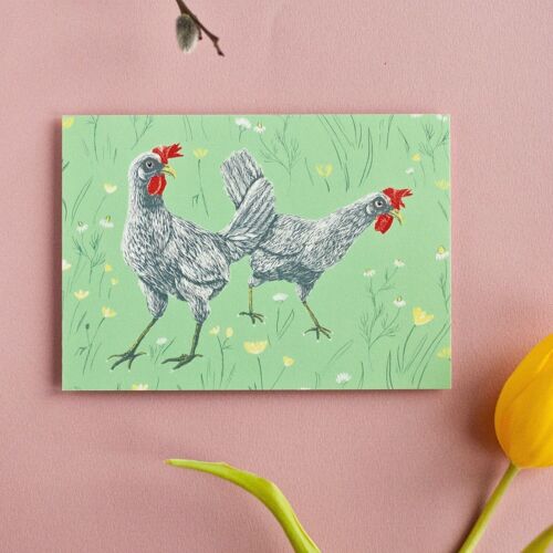 Postkarte | Hühner