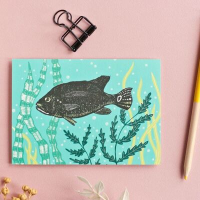 Carte postale | Poisson