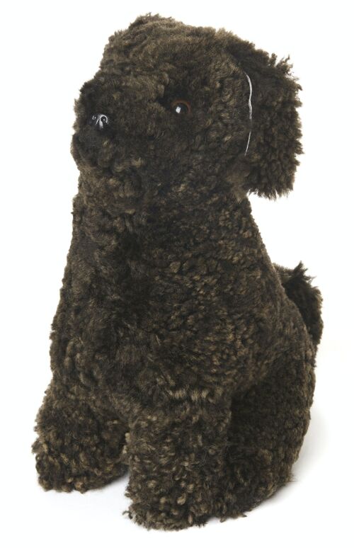House dog Coco curly sheepskin_Dark Brown_Gift