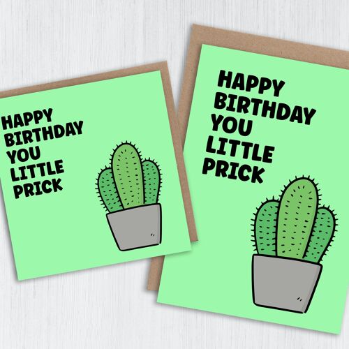 Offensive birthday card: Happy birthday you little prick