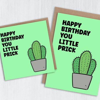 Tarjeta de cumpleaños ofensiva: feliz cumpleaños, pequeño idiota