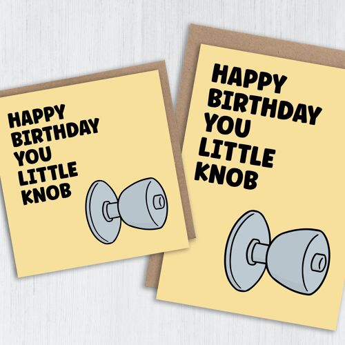 Offensive birthday card: Happy birthday you little knob