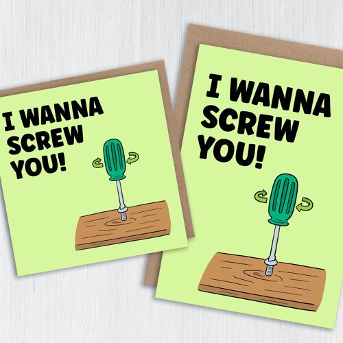 Funny, rude anniversary card: I wanna screw you