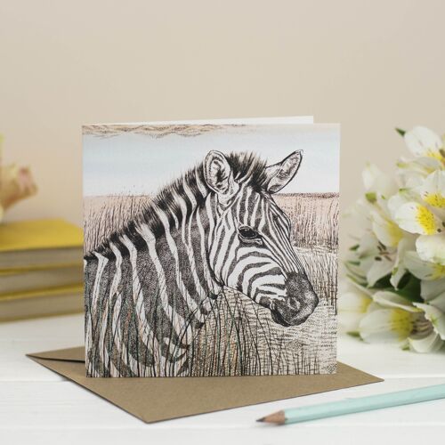 Zebra