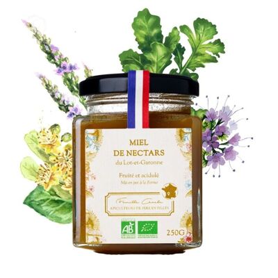 Organic Nectar Honey (250g)