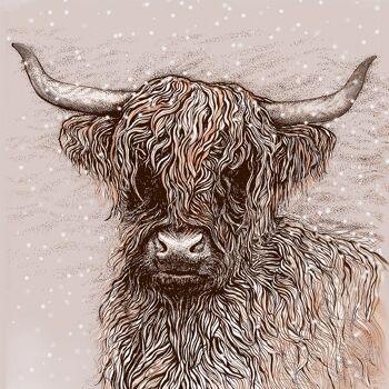 Vache Highland 2