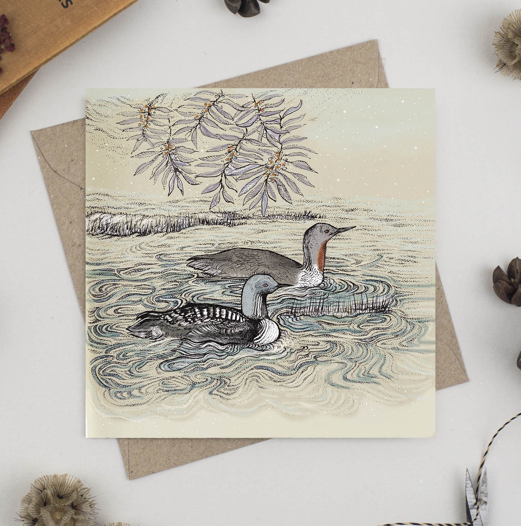 Rotkehl- und Pazifischer Seetaucher