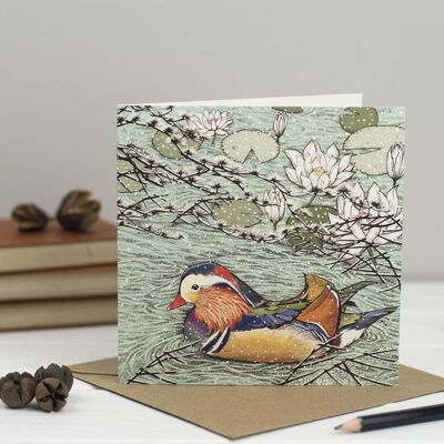 Canard mandarin