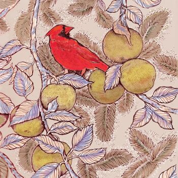 Carte de voeux Cardinal et pommes 2