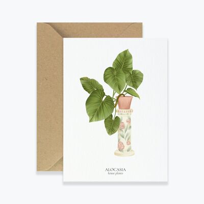 Carte "House Plants" Alocasia