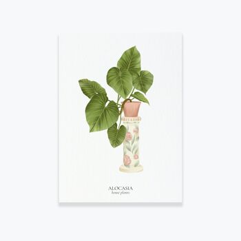 Carte "House Plants" Alocasia 2