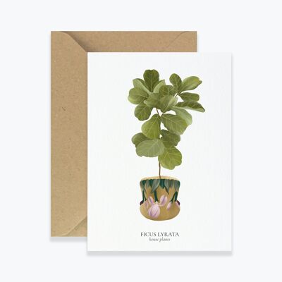 Card "House Plants" Ficus Lyrata