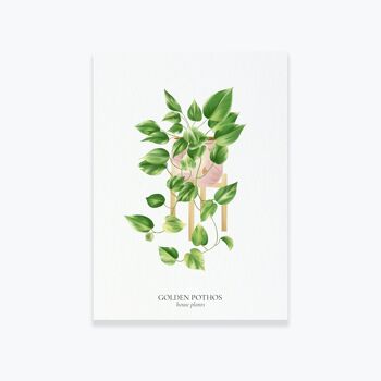 Carte "House Plants" Golden Pothos 2