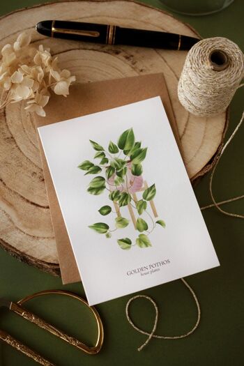 Carte "House Plants" Golden Pothos 4