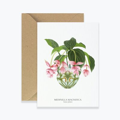 Tarjeta "Plantas de interior" Medinilla Magnifica