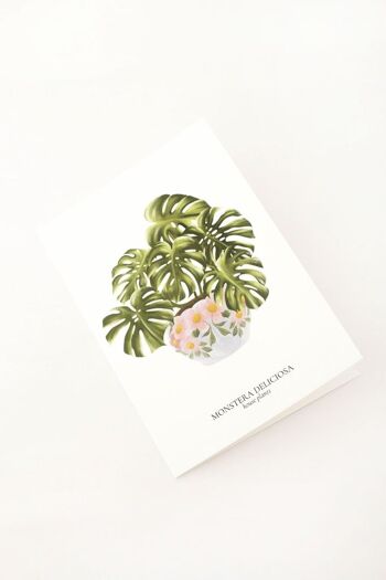 Carte "House Plants" Monstera 3