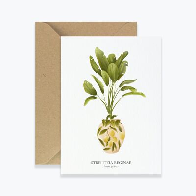 Card "House Plants" Strelitzia Reginae