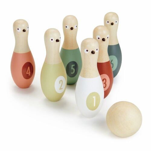 Wooden Birdie Skittles  Set Tender Leaf Toy