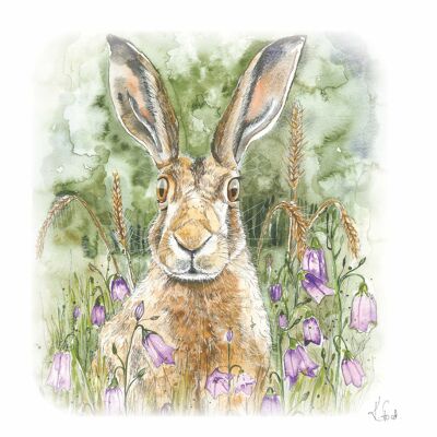 HARE IN HAREBELLS GREETING CARD