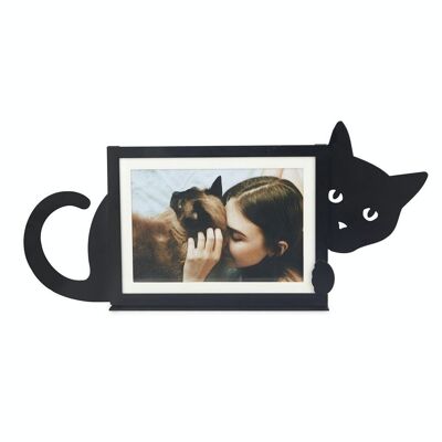 Cadre-frame HIidden Cat horizontal