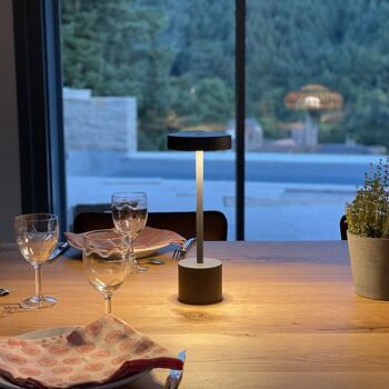 Lampe de table sans fil touch ROBY ROCK H30cm 1