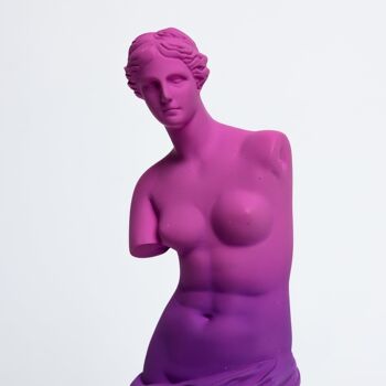 Venus de Milo - Statue 2
