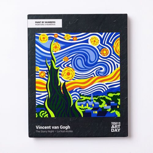 Starry Night - Paint by Numbers Kit