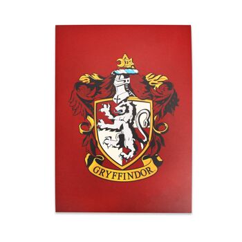 Carnet A5 Souple - Harry Potter (Gryffondor) 1