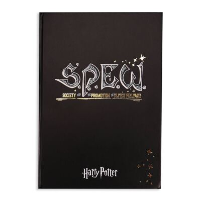 A6 Sticky Notes - Harry Potter (SPEW)