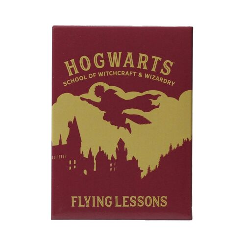 Magnet Metal - Harry Potter (Flying Lessons)