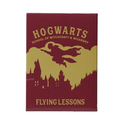 Magnet Metal - Harry Potter (Flying Lessons)