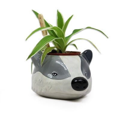 Plant Pot Shaped - Harry Potter (Hufflepuff)