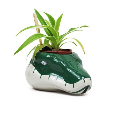 Plant Pot Shaped - Harry Potter (Slytherin)