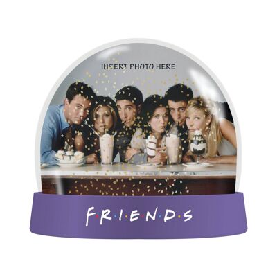 Snow Globe (Photo) - Friends (Friends)
