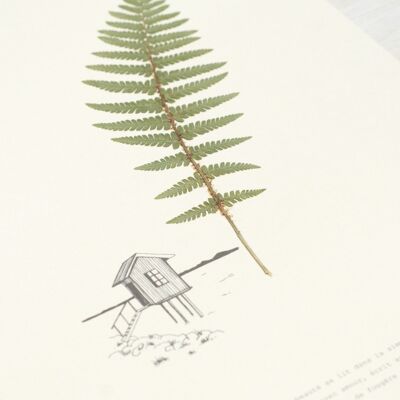 Farn Poetisches Herbarium • 23Blumen x Narrature • A4-Poster
