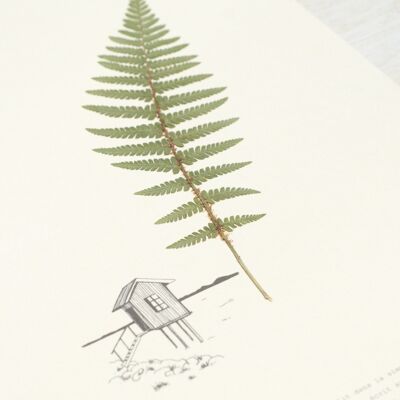 Farn Poetisches Herbarium • 23Blumen x Narrature • A4-Poster