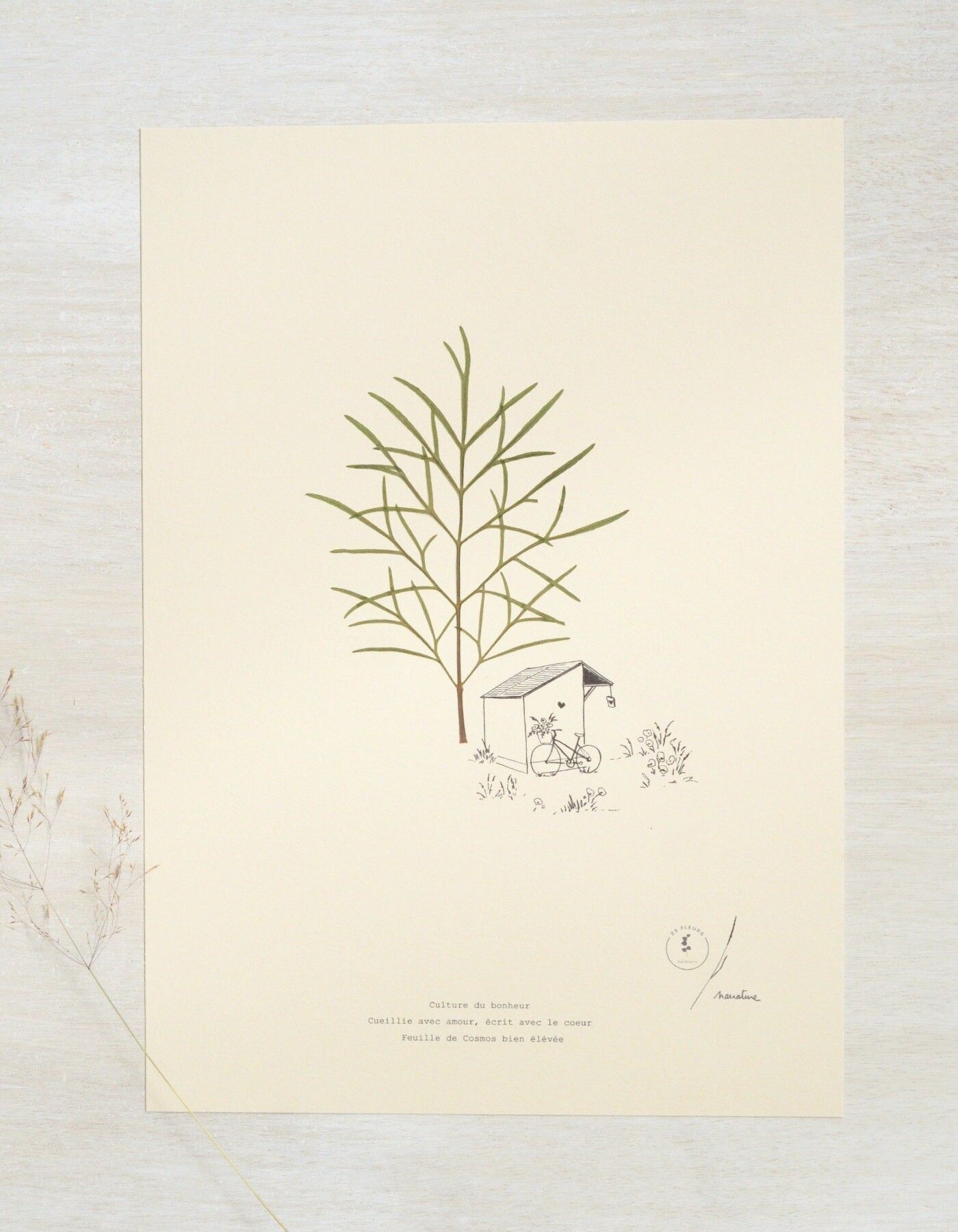 Cosmos Poetic Herbarium • 23fiori x Narrazione • Poster A4