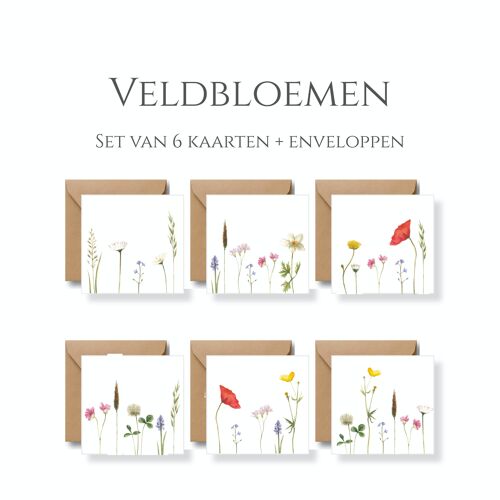 Veldbloemen wenskaarten (6 stuks dubbele kaarten incl. envelop)