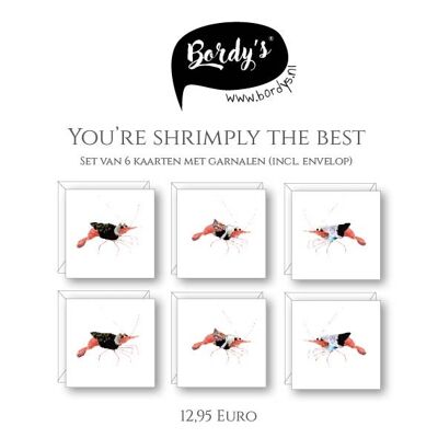 Set 'You're shrimpy the best' postcards (6 stuks incl. envelop)