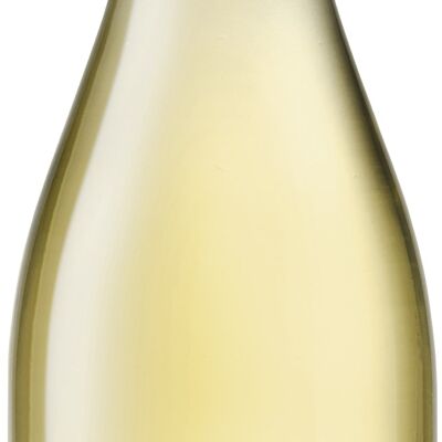 Poesia non scritta Riesling Reverie - 2021 - Tiwari House