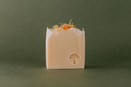 Lemon & Lime Soap Bar